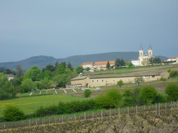 Beaujolais self guided cycling holiday, France