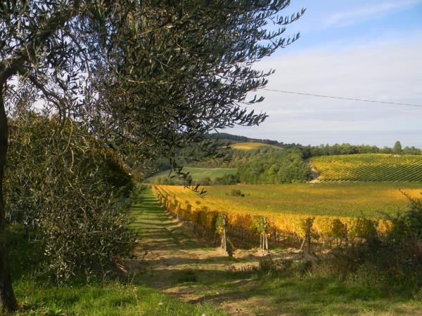 Tuscany hiking vacation, Italy