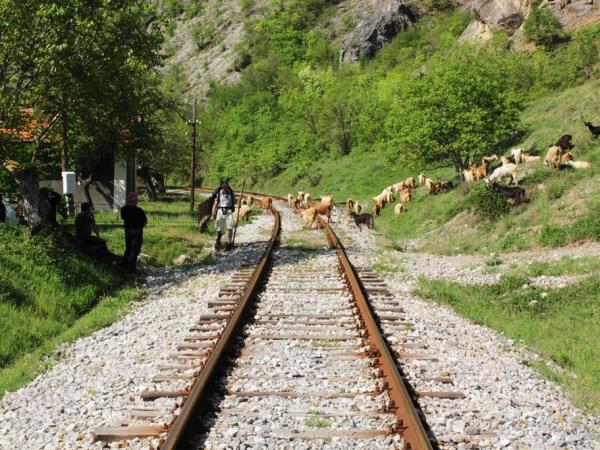 Bulgaria vacation by train