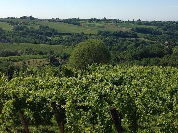 Prosecco Area to Venice tour, Italy