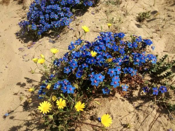 Alentejo & Algarve self guided hiking vacation, Portugal