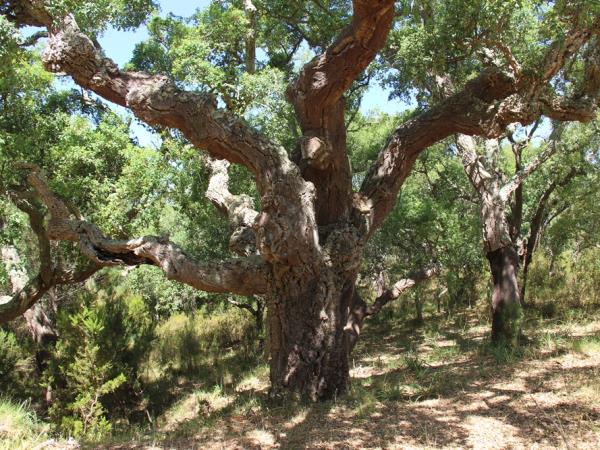 Alentejo & Algarve self guided hiking vacation, Portugal