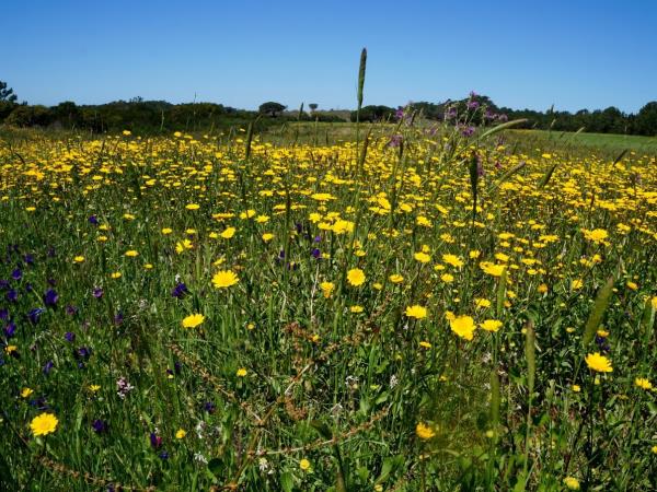 Alentejo & Algarve self guided hiking vacation, Portugal