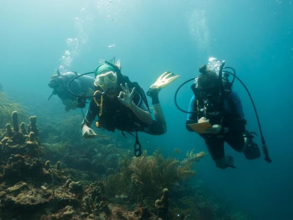 Caribbean coral reef conservation in Carriacou