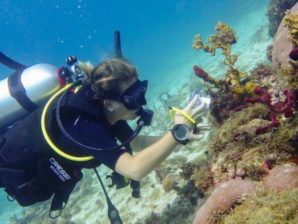 Caribbean coral reef conservation in Carriacou