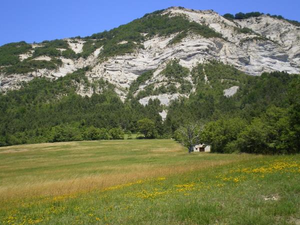 France cycling tour in the Arles countryside