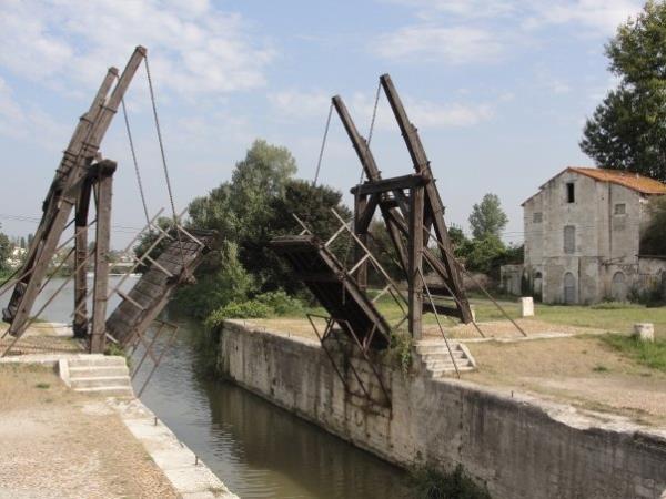 France cycling tour in the Arles countryside