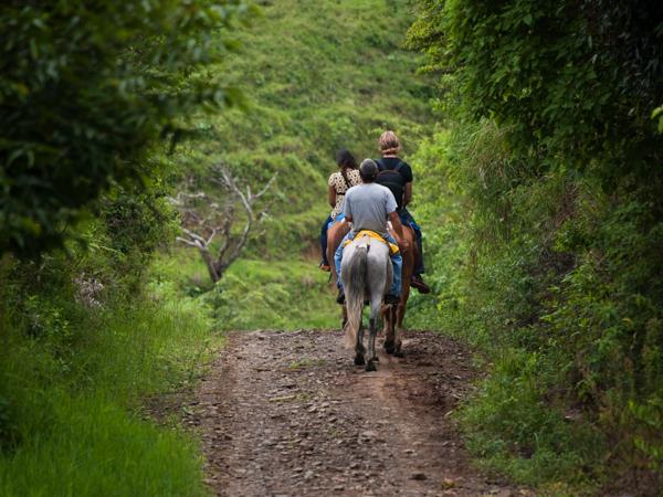 Colombia tailor made tour, culture & coffee