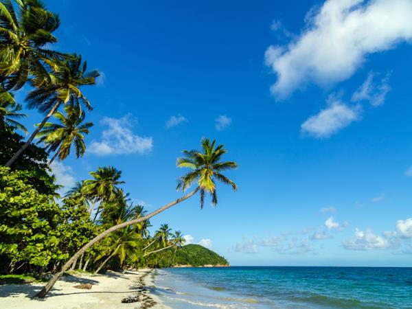 Colombia tailor made tour, culture & coffee