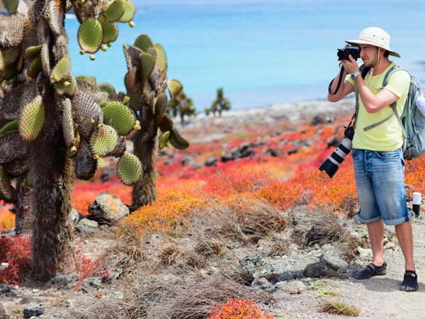 Galapagos & Ecuador tailor made vacation