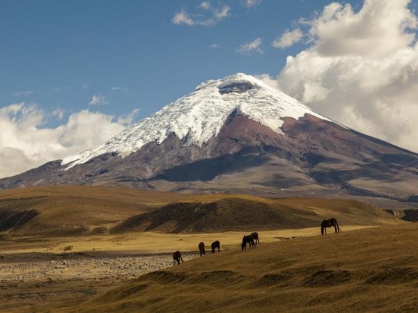 Galapagos & Ecuador tailor made vacation