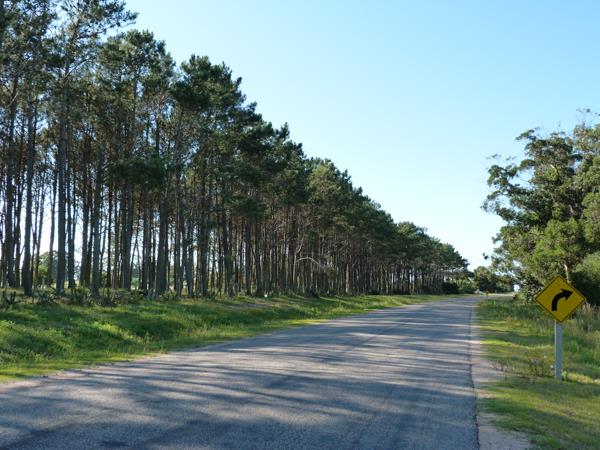 Uruguay self drive vacation