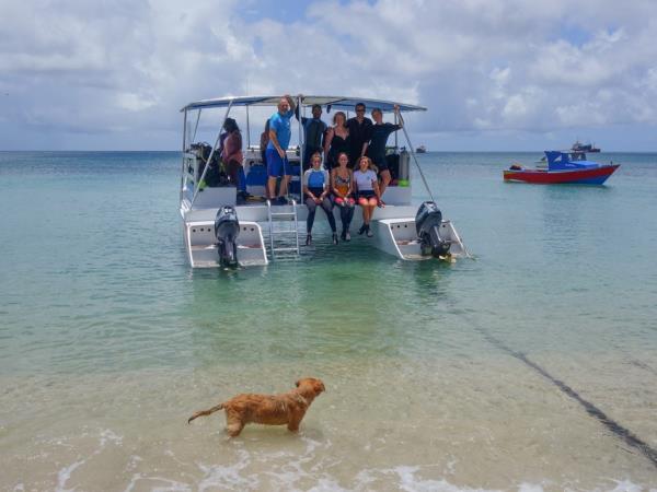 Caribbean coral reef conservation in Carriacou