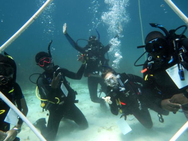 Divemaster and instructor courses in the Caribbean