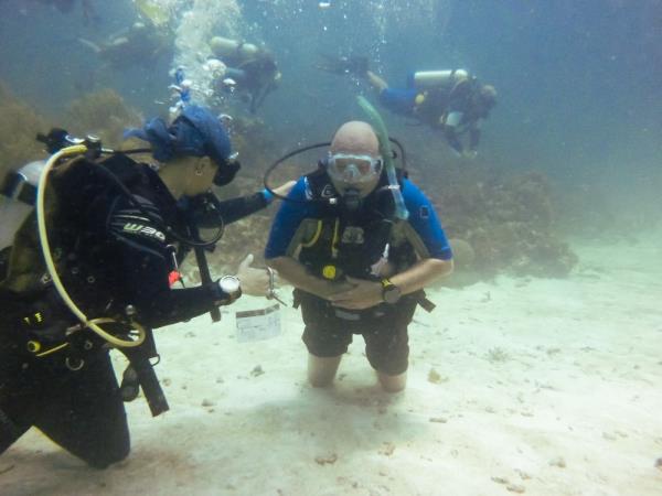 Divemaster and instructor courses in the Caribbean