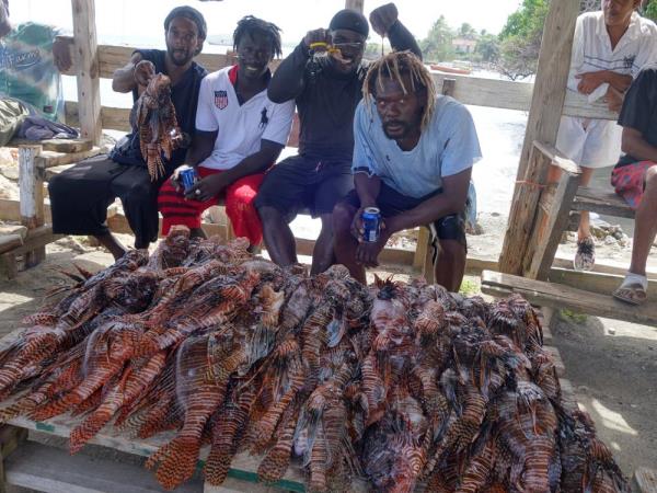 Caribbean Lionfish hunting in Carriacou, Grenada