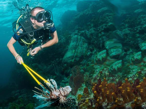 Caribbean Lionfish hunting in Carriacou, Grenada