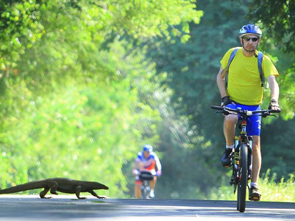 Sri Lanka highlights biking vacation