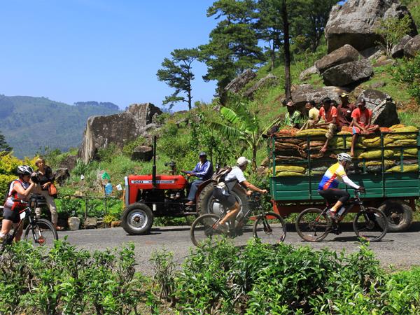 Sri Lanka highlights biking vacation