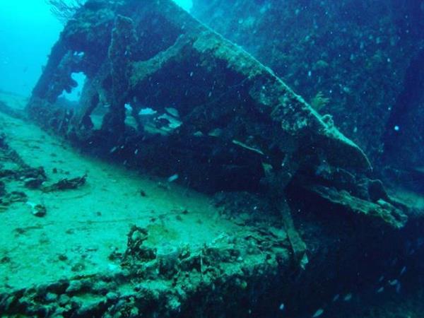 Marine conservation vacation in Portugal