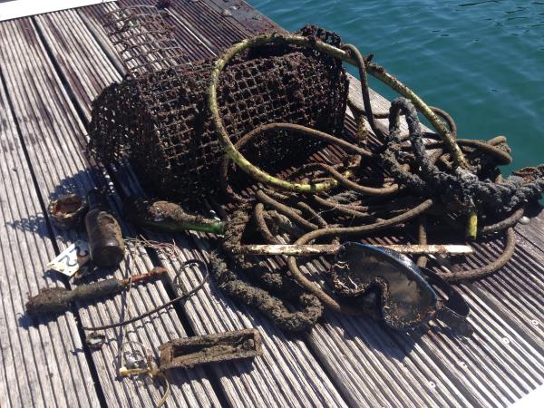 Marine conservation vacation in Portugal