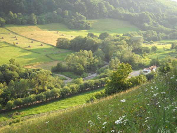 Horse riding vacations in Transylvania