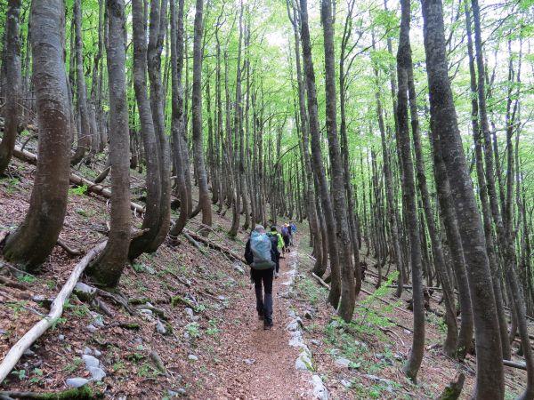 Northern Croatia hiking vacation