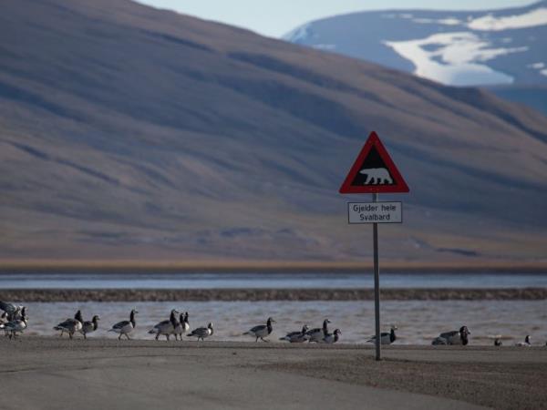 Svarlbard luxury cruise in the Arctic