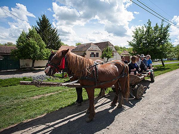 Biking vacation in Romania