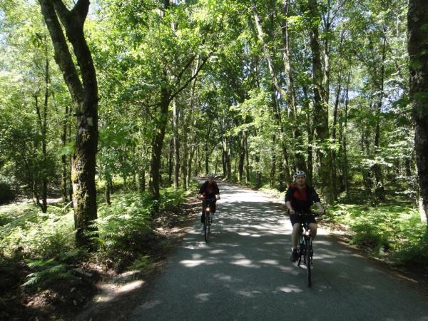 Family biking vacation in Portugal, 5 days