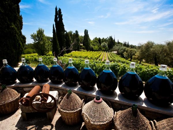 South of France cooking vacation