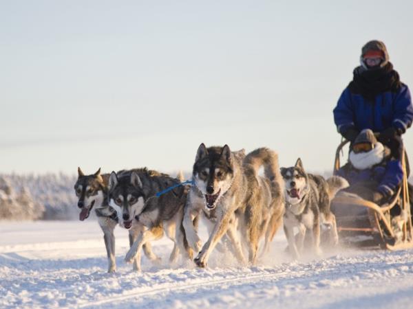 Northern Lights vacation, Finnish Lapland