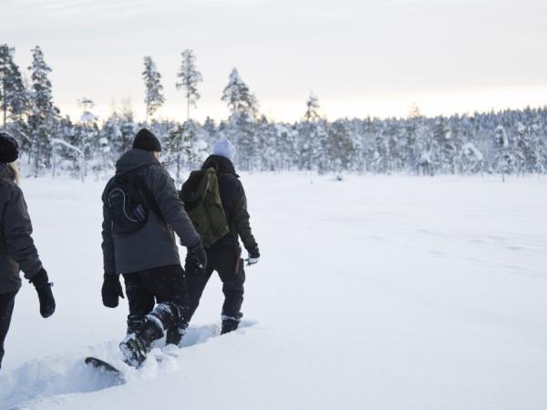 Northern Lights vacation, Finnish Lapland
