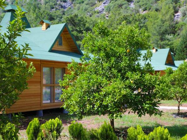 Cirali beach self catering wooden chalets, Turkey
