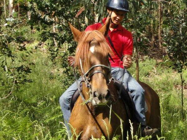 Horse riding vacation in Portugal