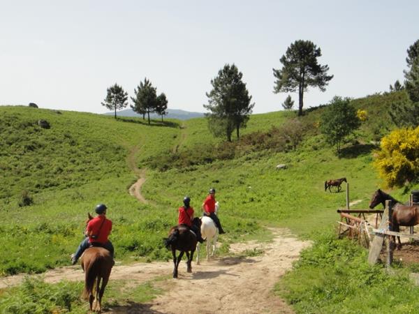 Horse riding vacation in Portugal