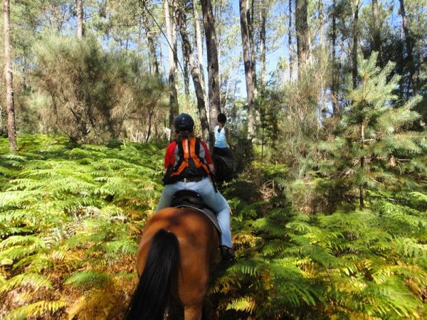 Horse riding vacation in Portugal