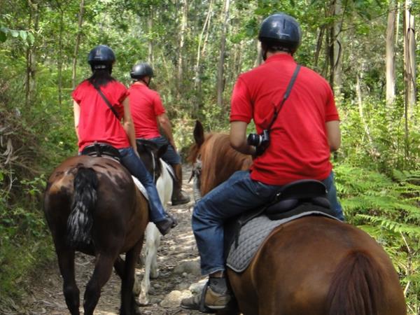 Horse riding vacation in Portugal