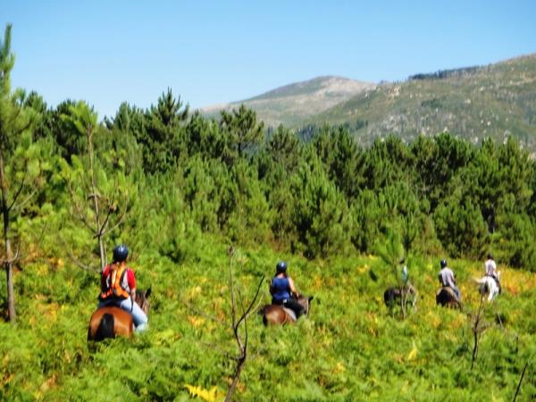 Horse riding vacation in Portugal