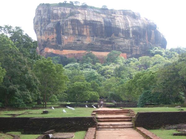 Sri Lanka wildlife and culture vacation