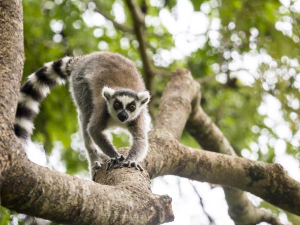 Private Madagascar tour