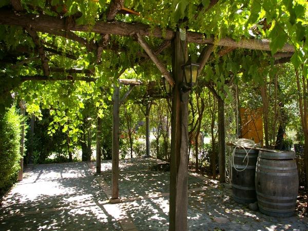 Chile tailor made tours, volcanos & National Parks