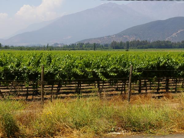 Chile tailor made tours, volcanos & National Parks