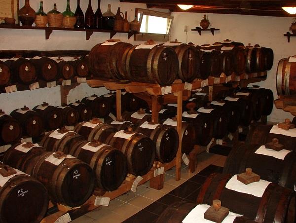 Parma tour, food and culture vacation in Italy