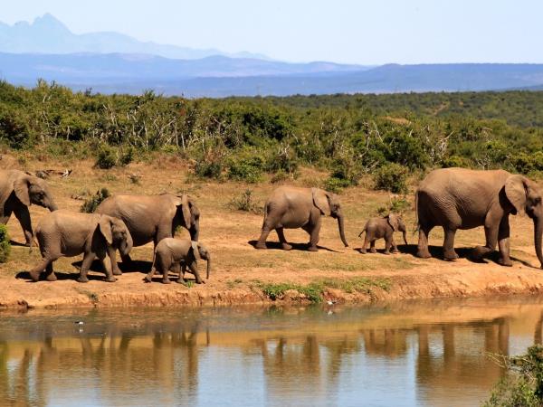 South Africa family adventure vacation, tailor made