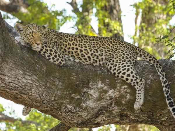 South Africa family adventure vacation, tailor made