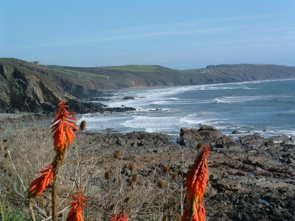 South West Coastal Path walking vacation, England