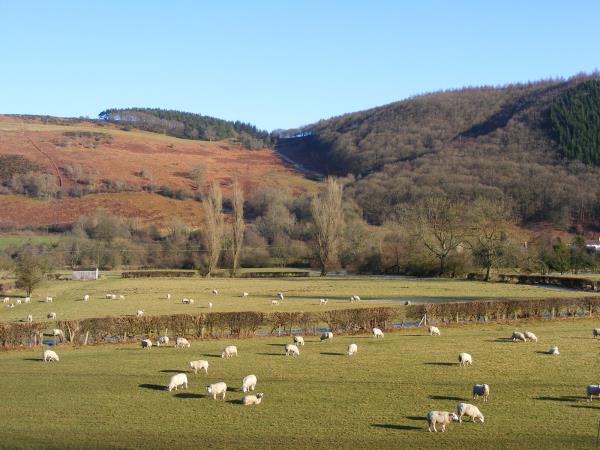 Self guided walking vacation in Wales