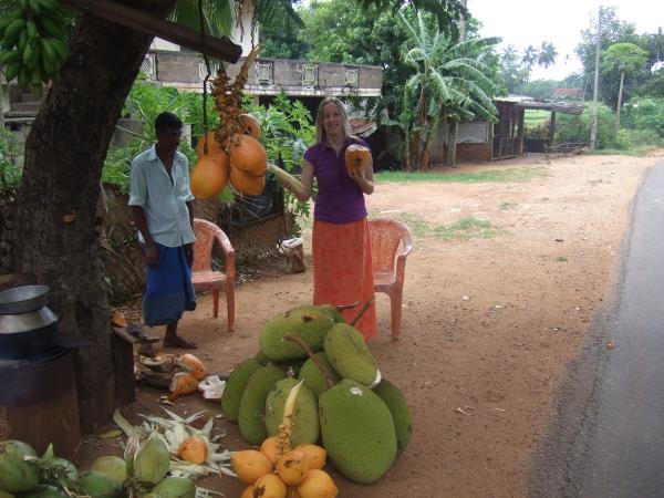 North Sri Lanka vacation, tailor made
