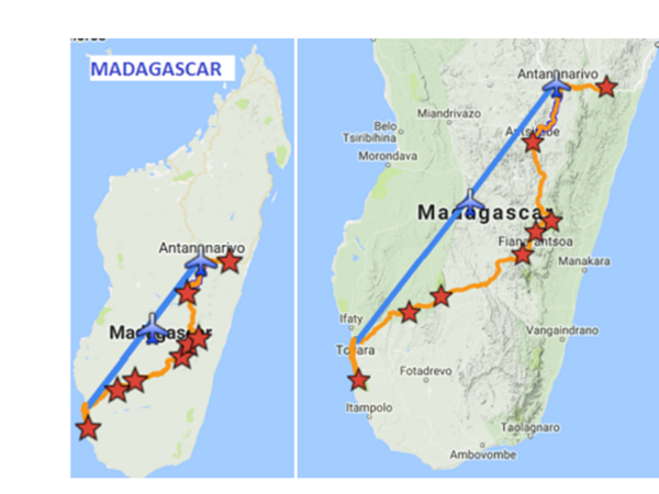 Madagascar and Seychelles honeymoon